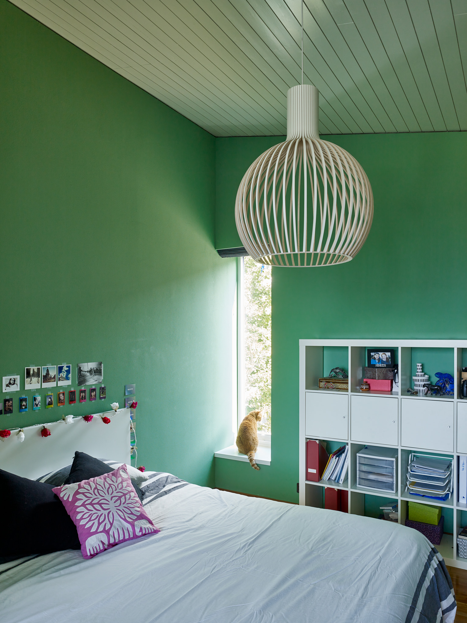 E15560 Alpa 052550 SCREEN